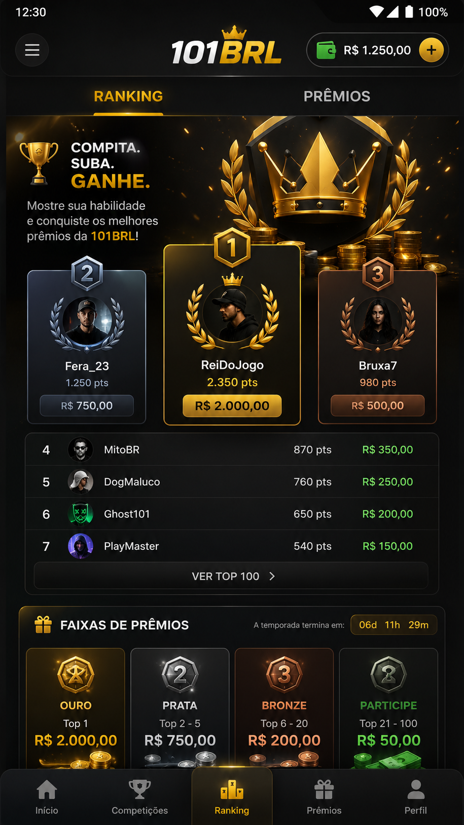 101brl screenshot