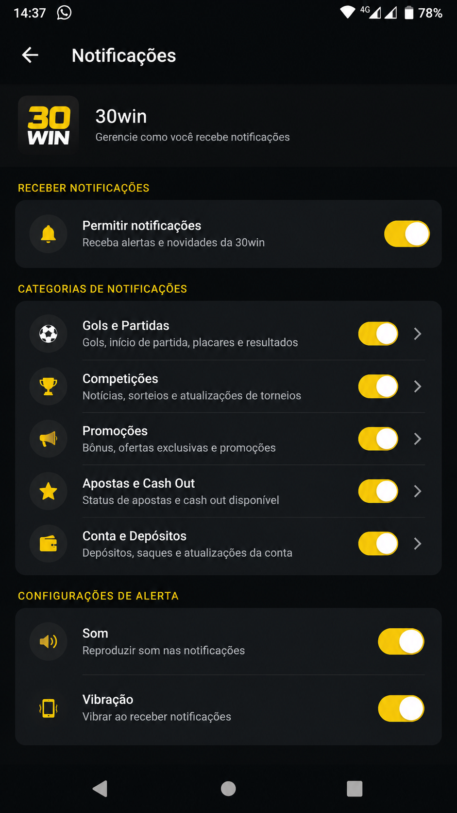 30win screenshot