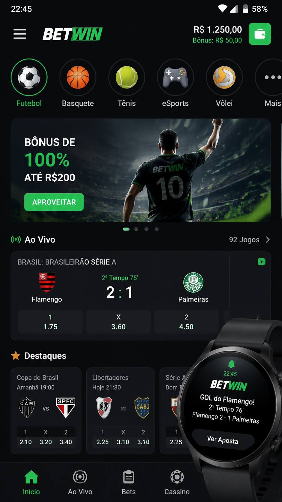 393brl screenshot