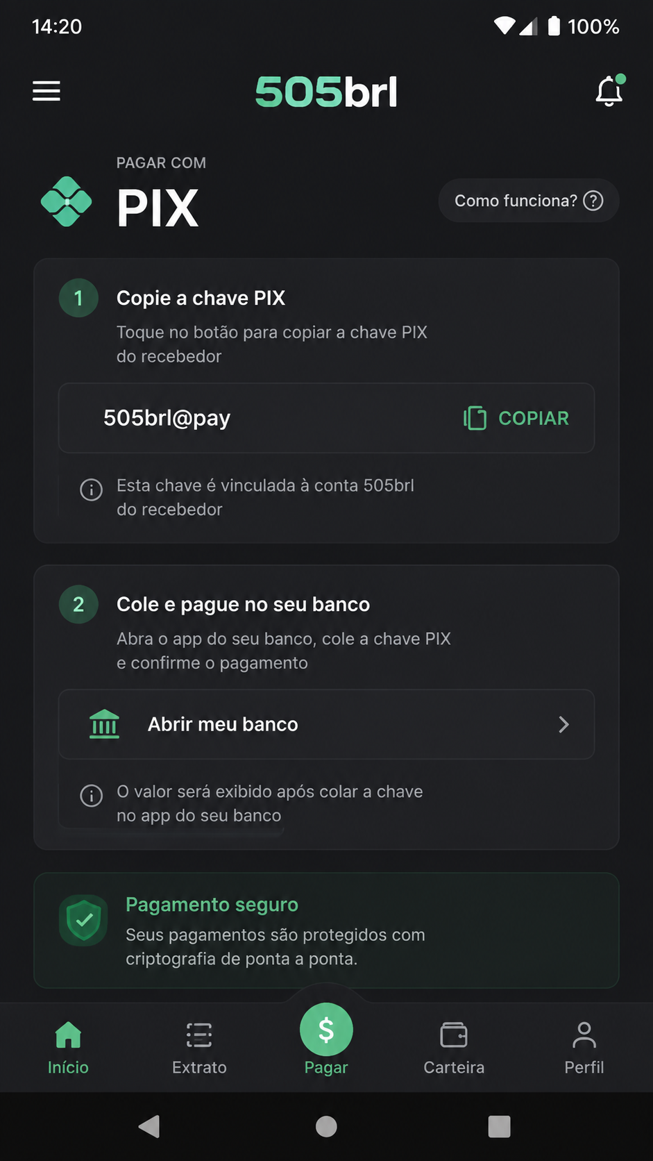 505brl screenshot