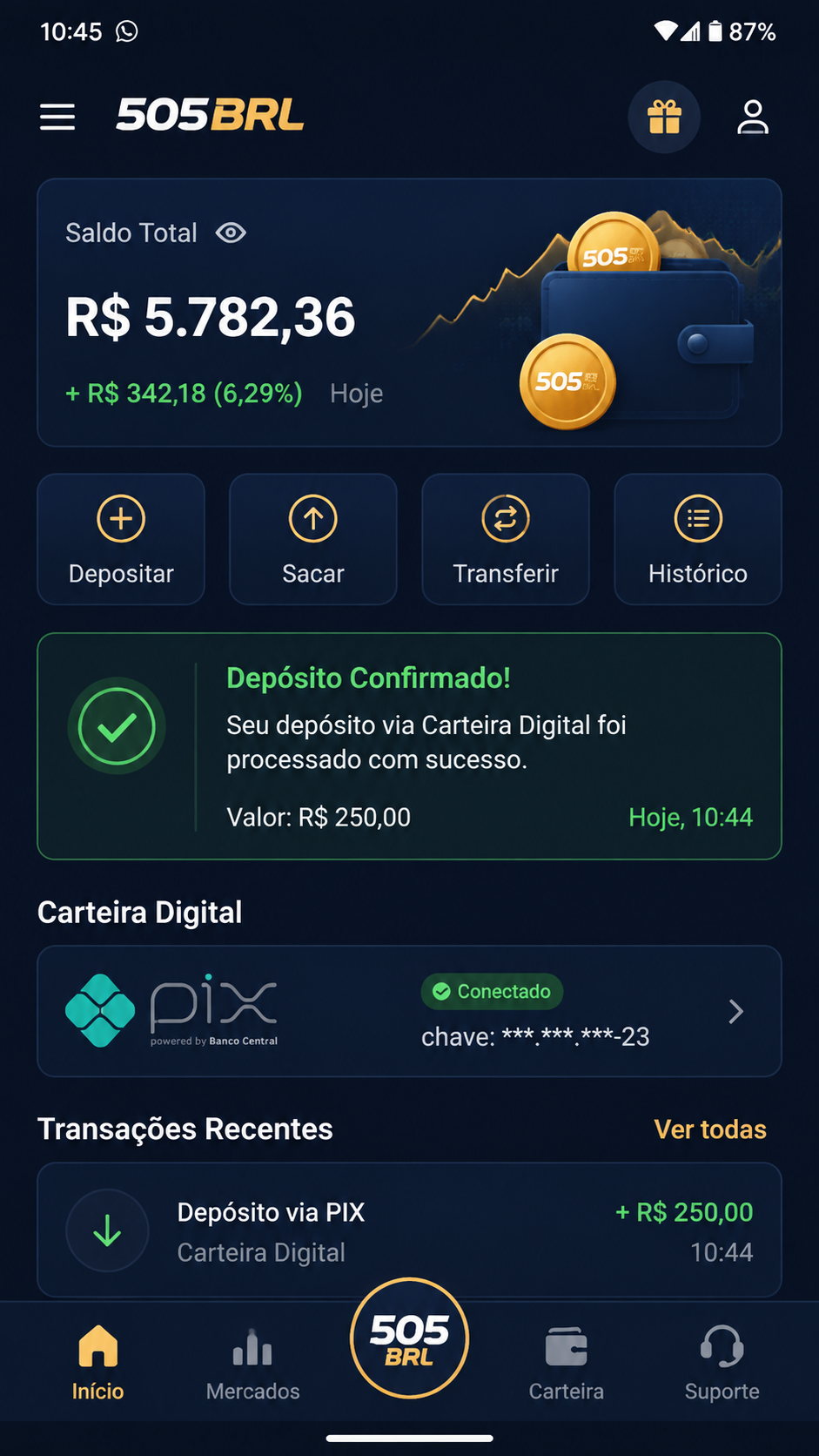 505brl screenshot