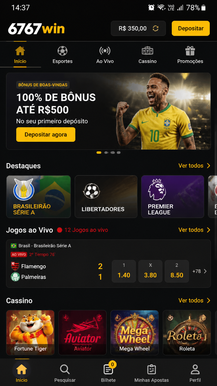 6767win screenshot
