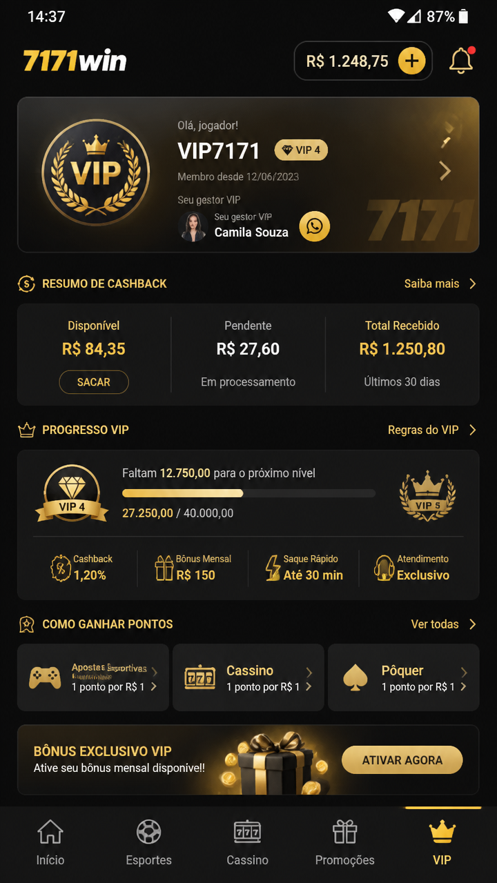 7171win screenshot