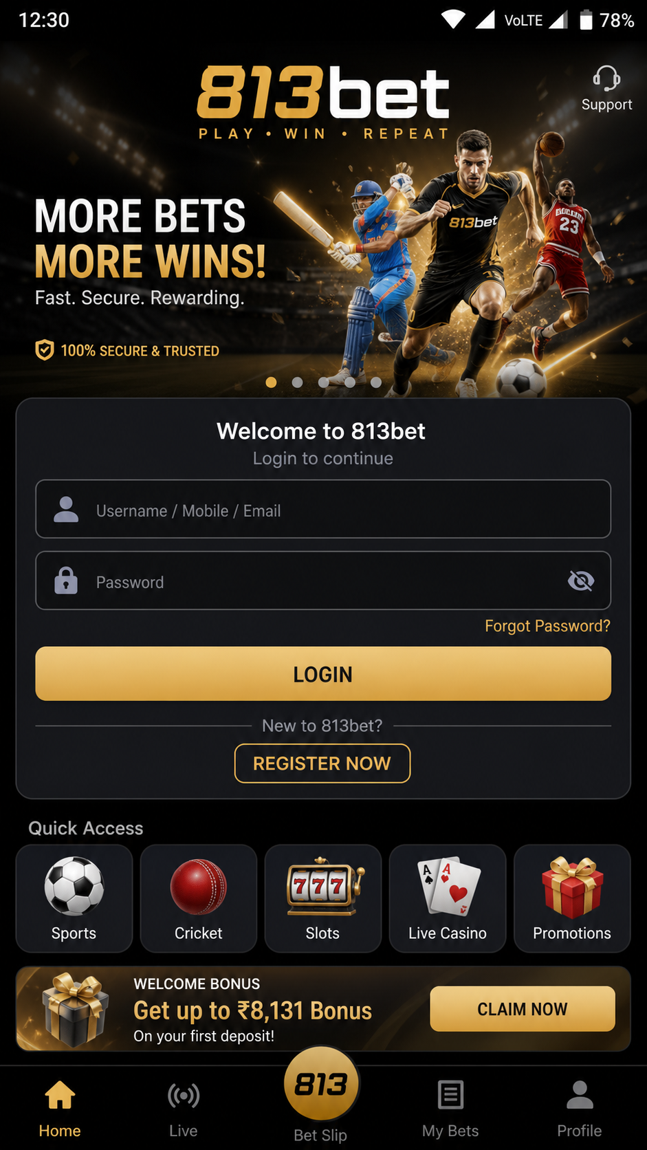 813bet screenshot