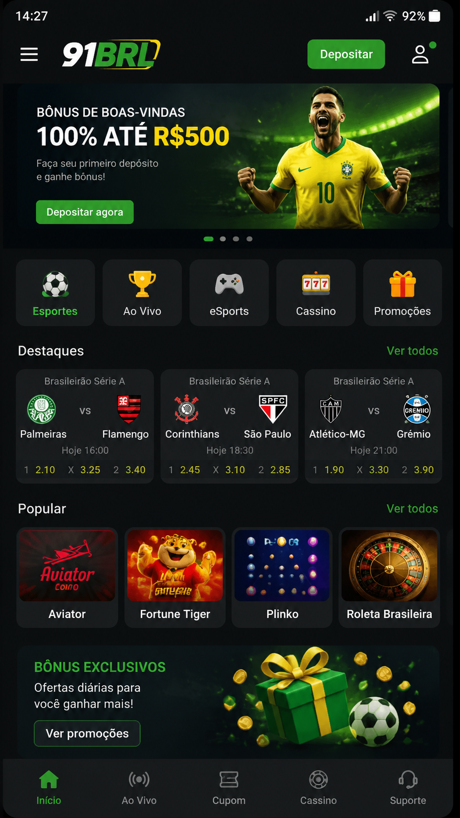 91brl screenshot