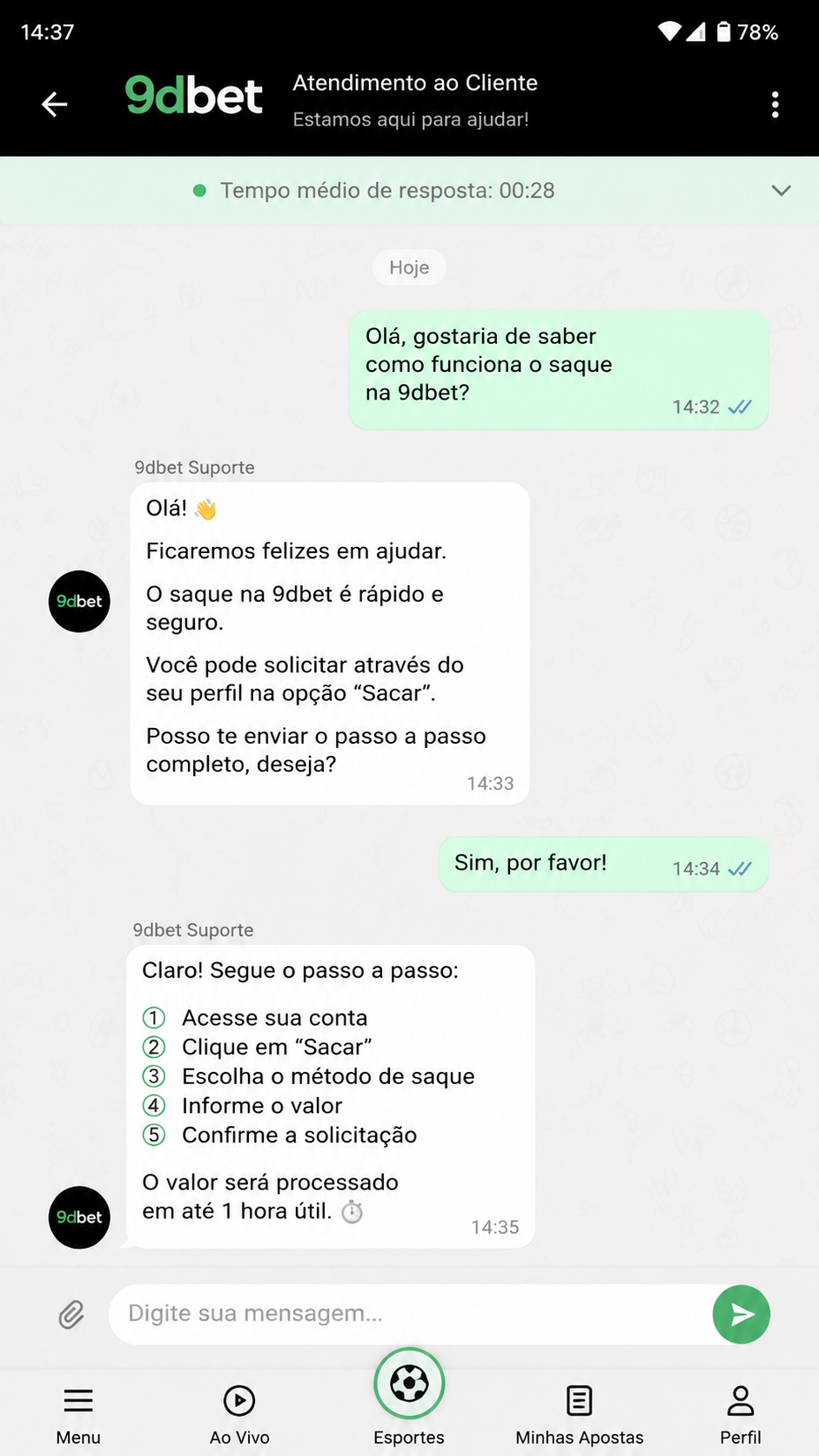 9dbet screenshot