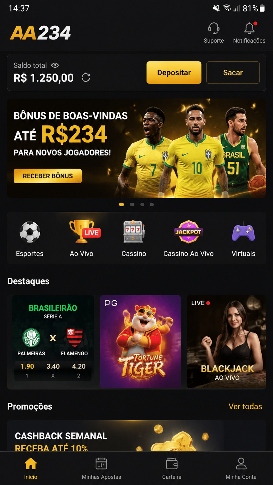 aa234 screenshot