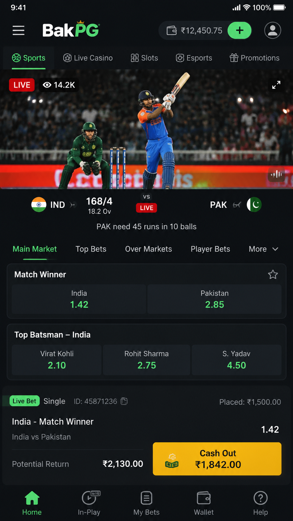 BakPG screenshot