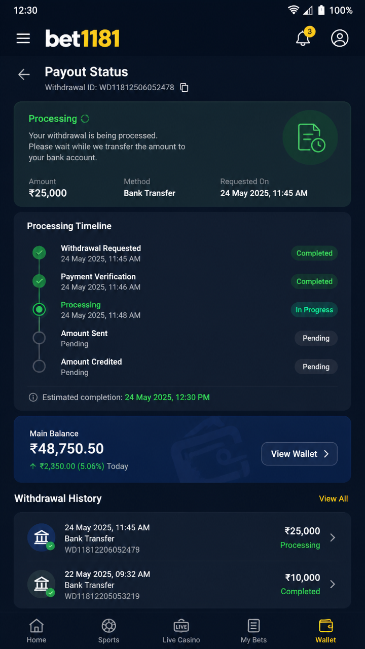 bet1181 screenshot