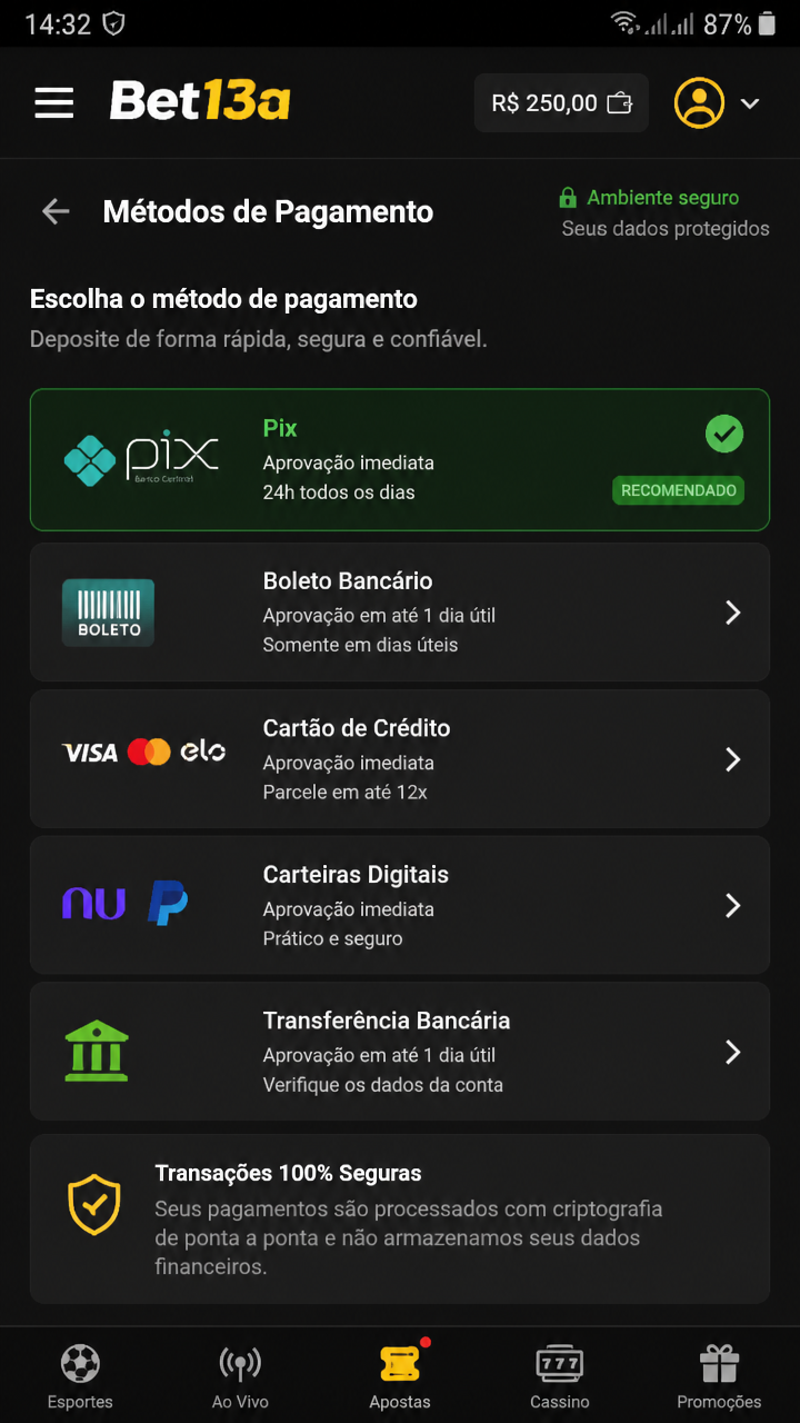 Bet13a screenshot
