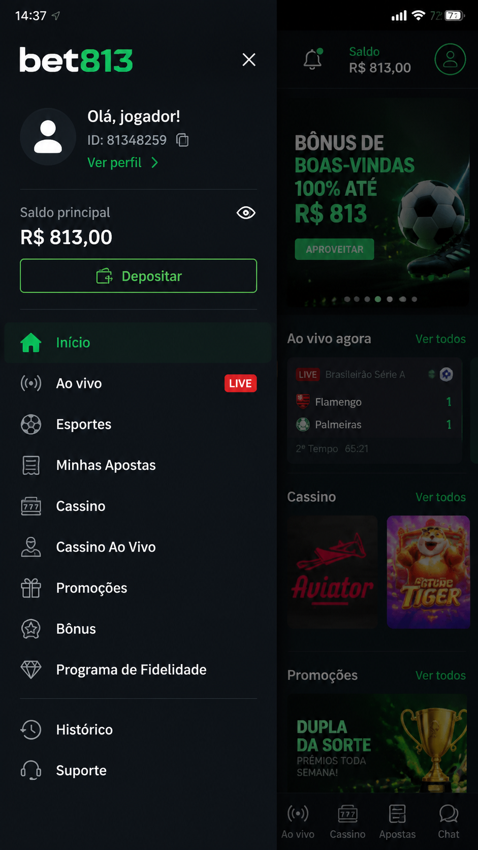 bet813 screenshot
