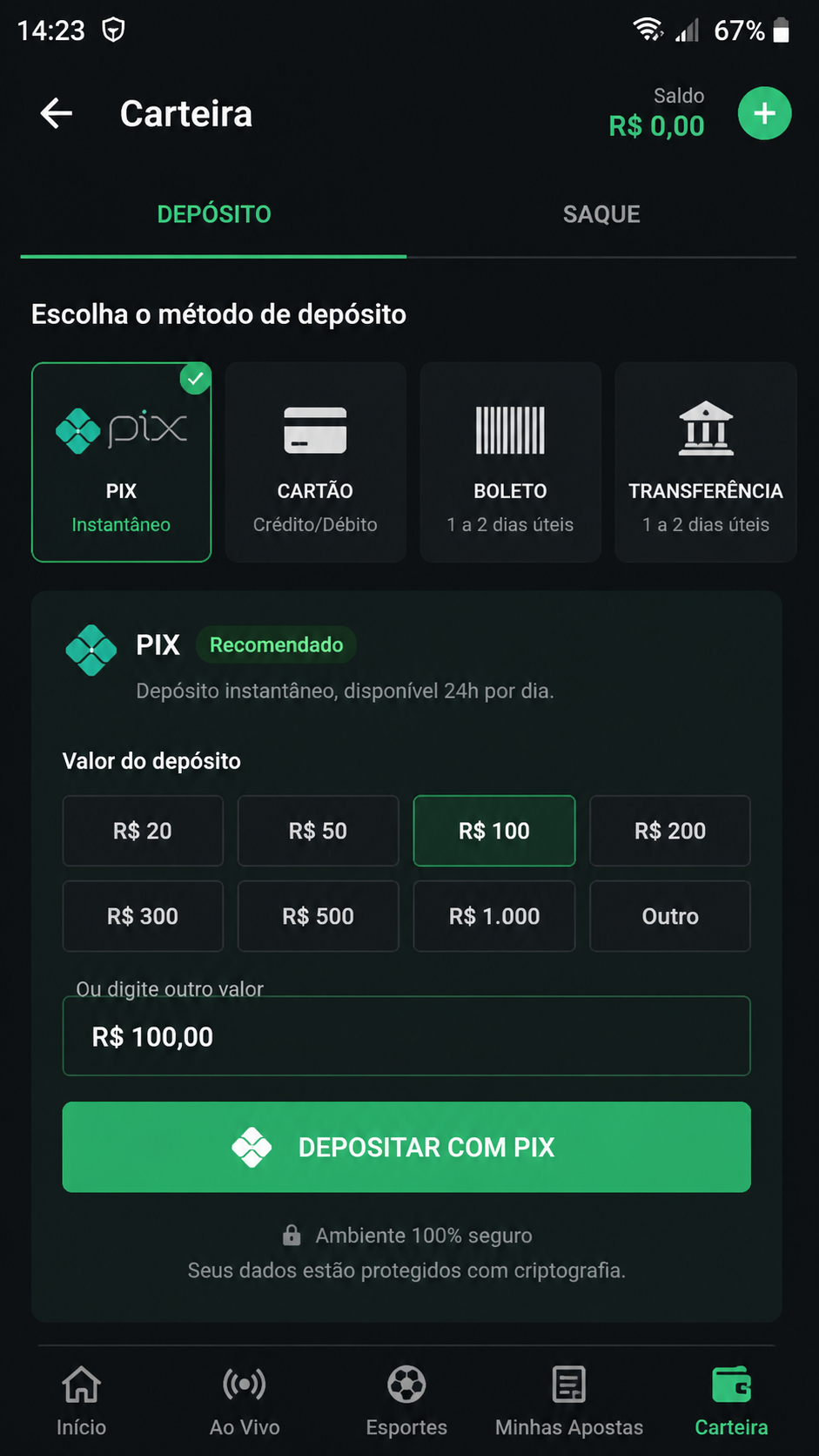 bjogo screenshot