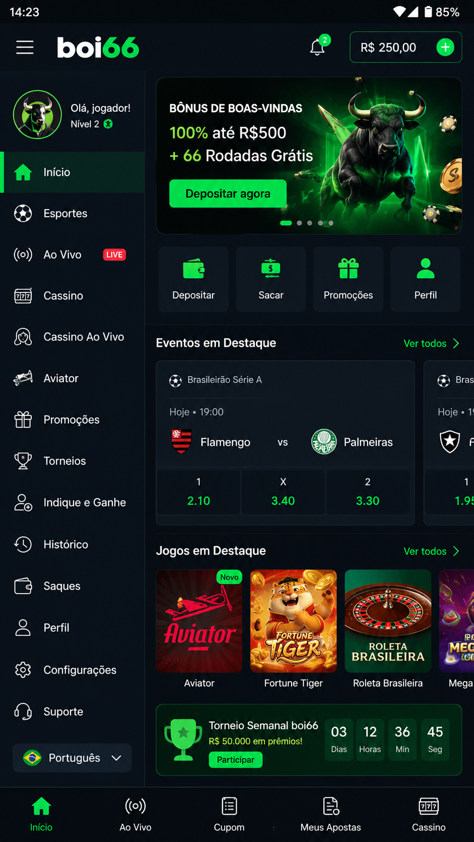 boi66 screenshot