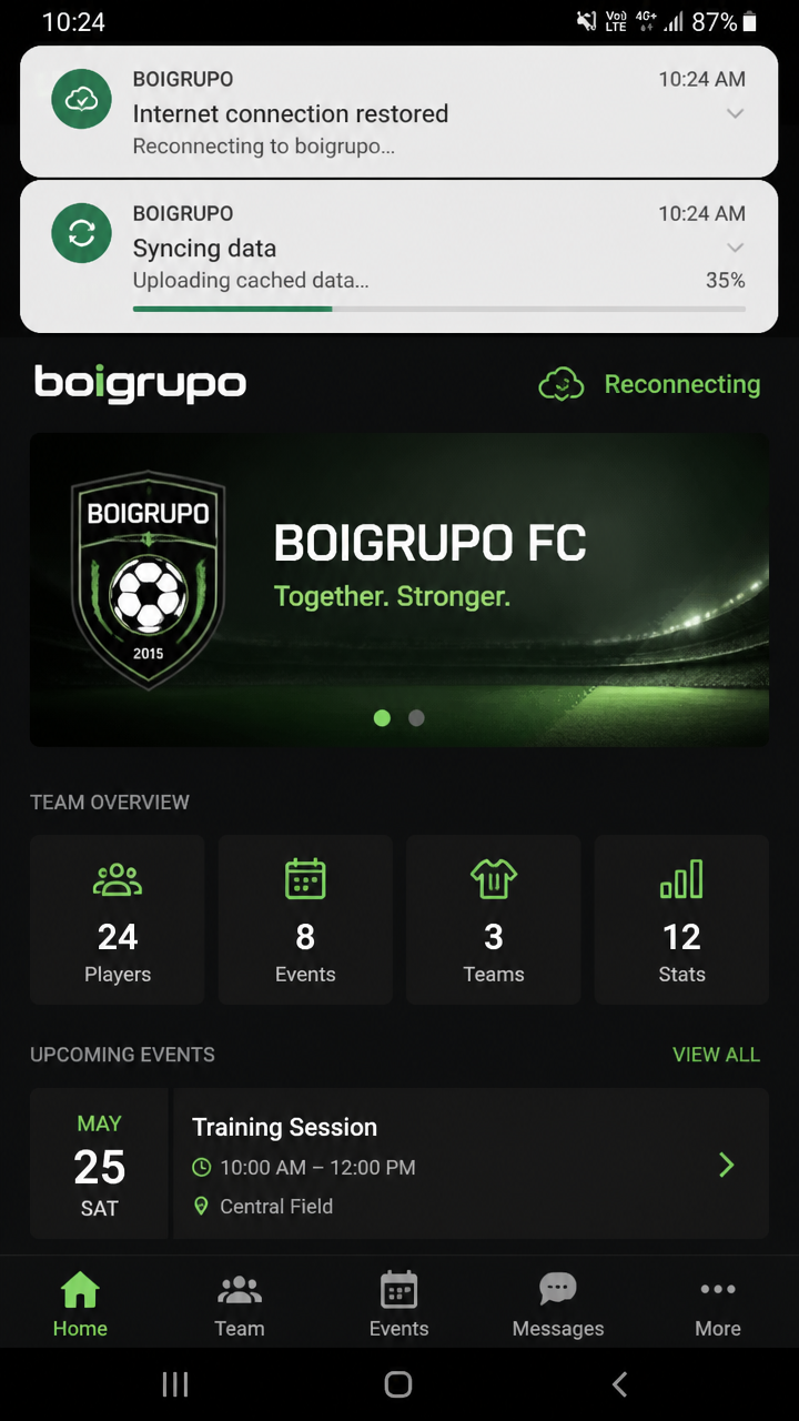 boigrupo screenshot