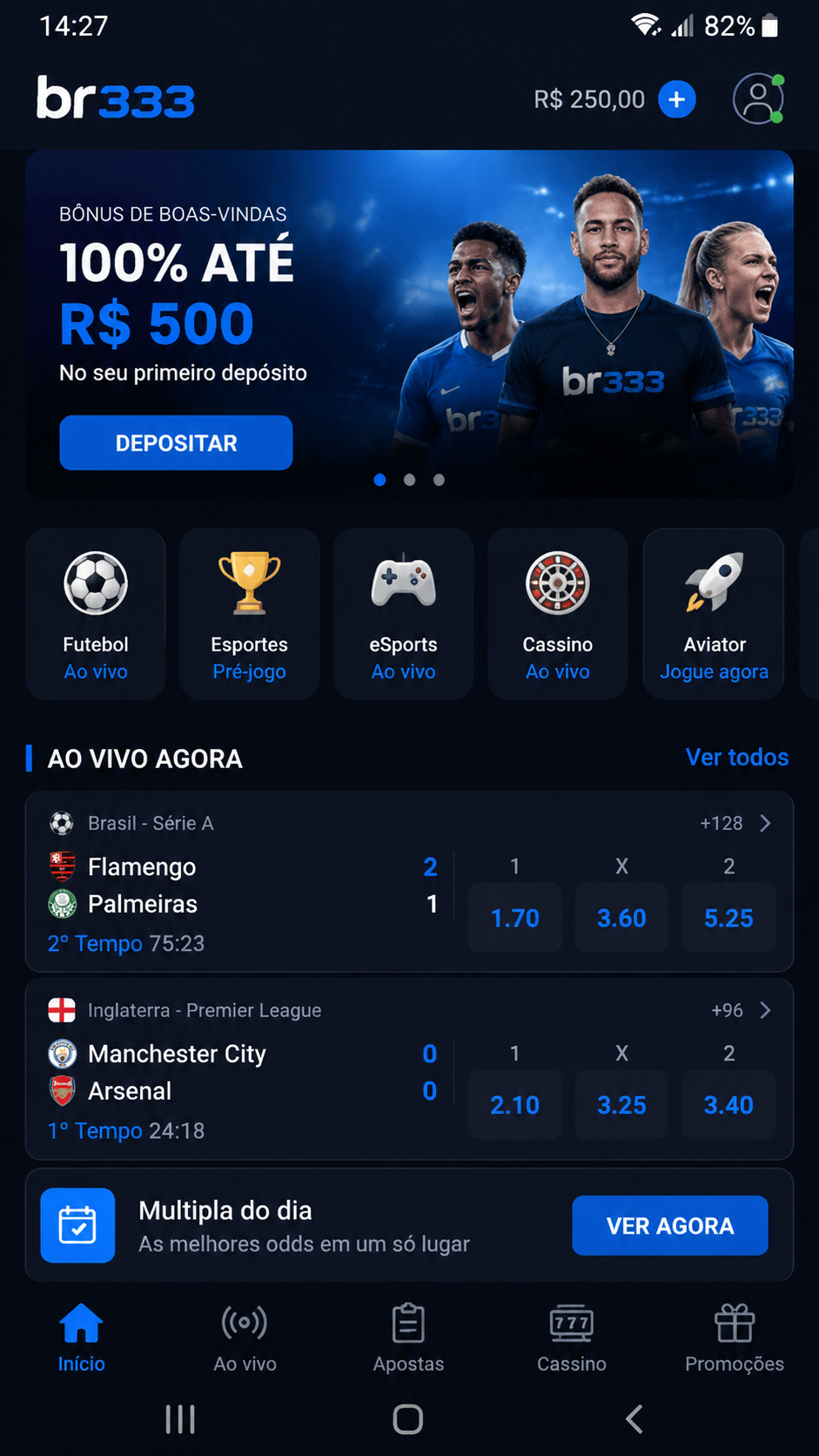 br333 screenshot