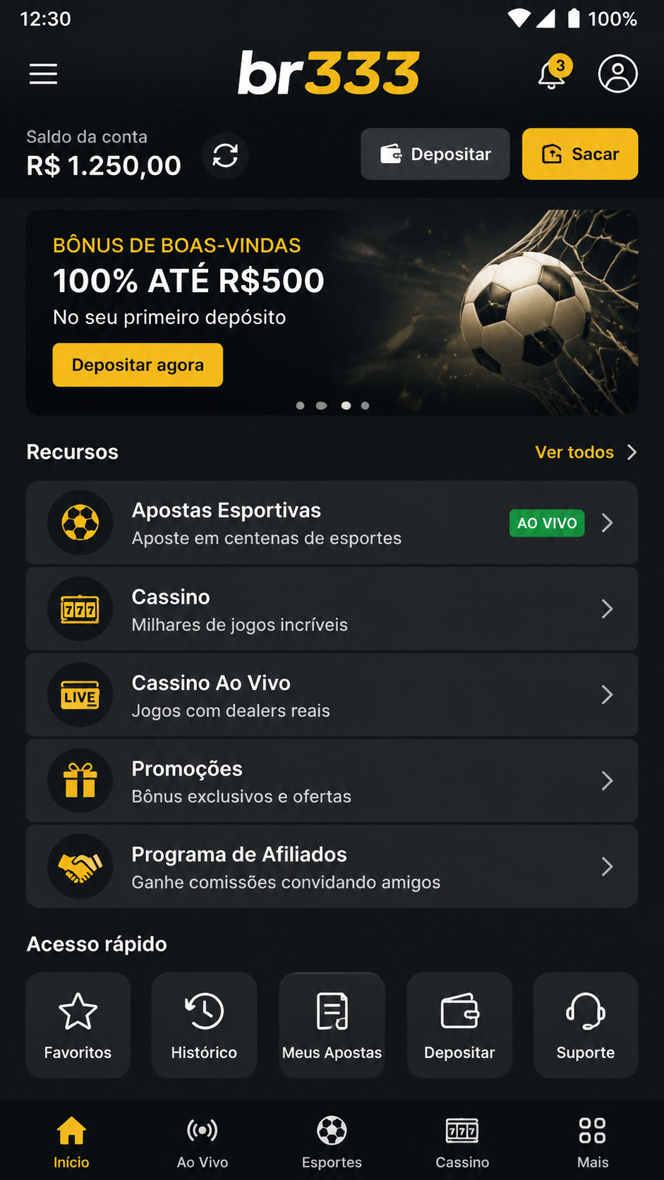 br333 screenshot