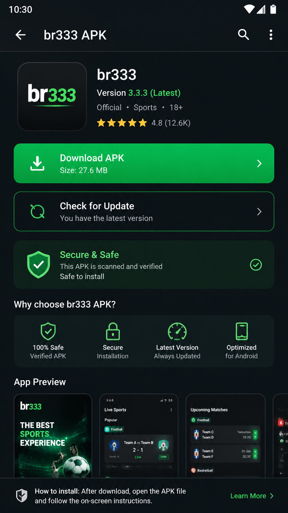 br333 screenshot