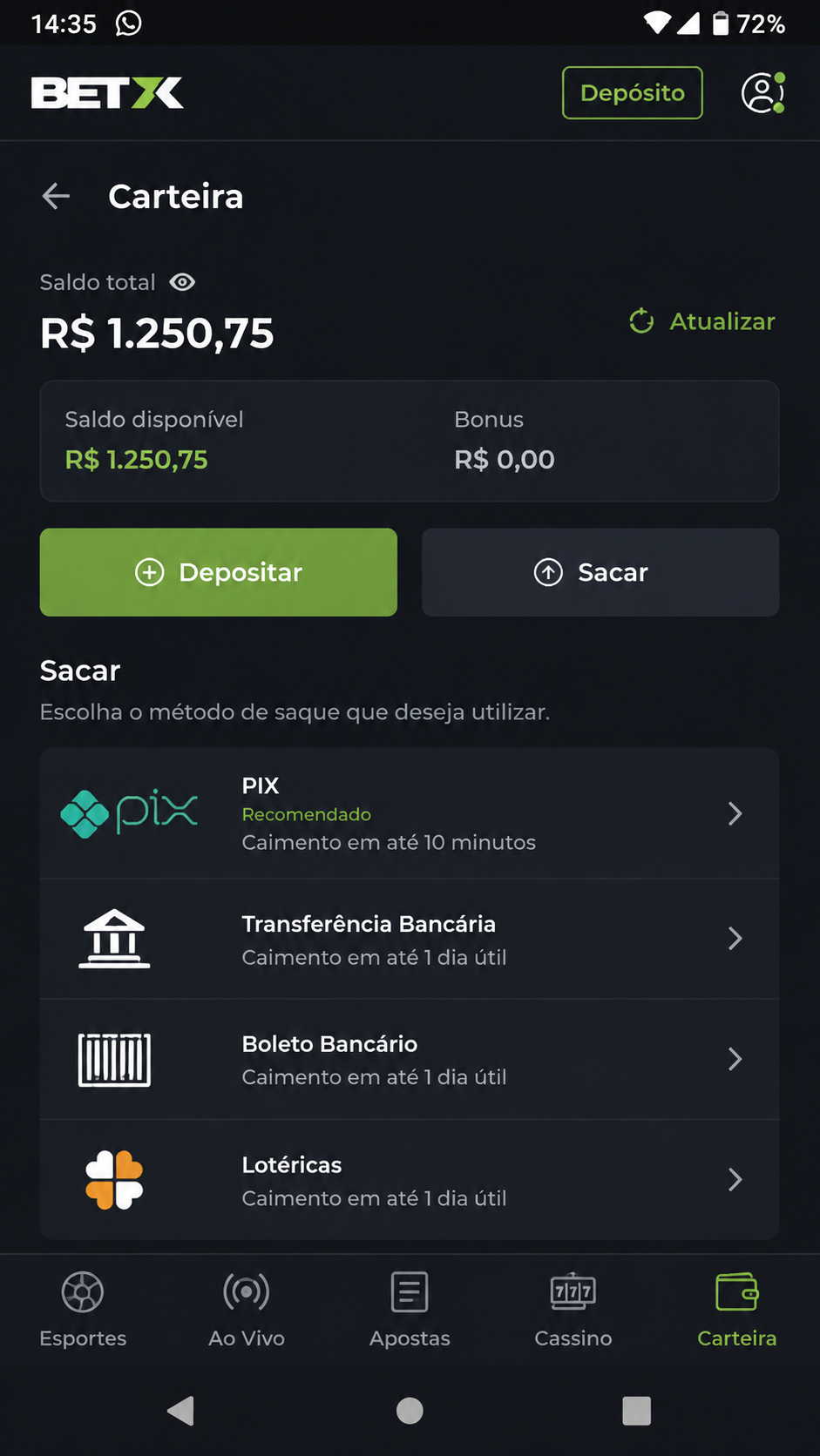 BR6 screenshot