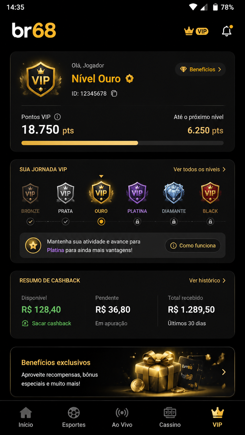 br68 screenshot