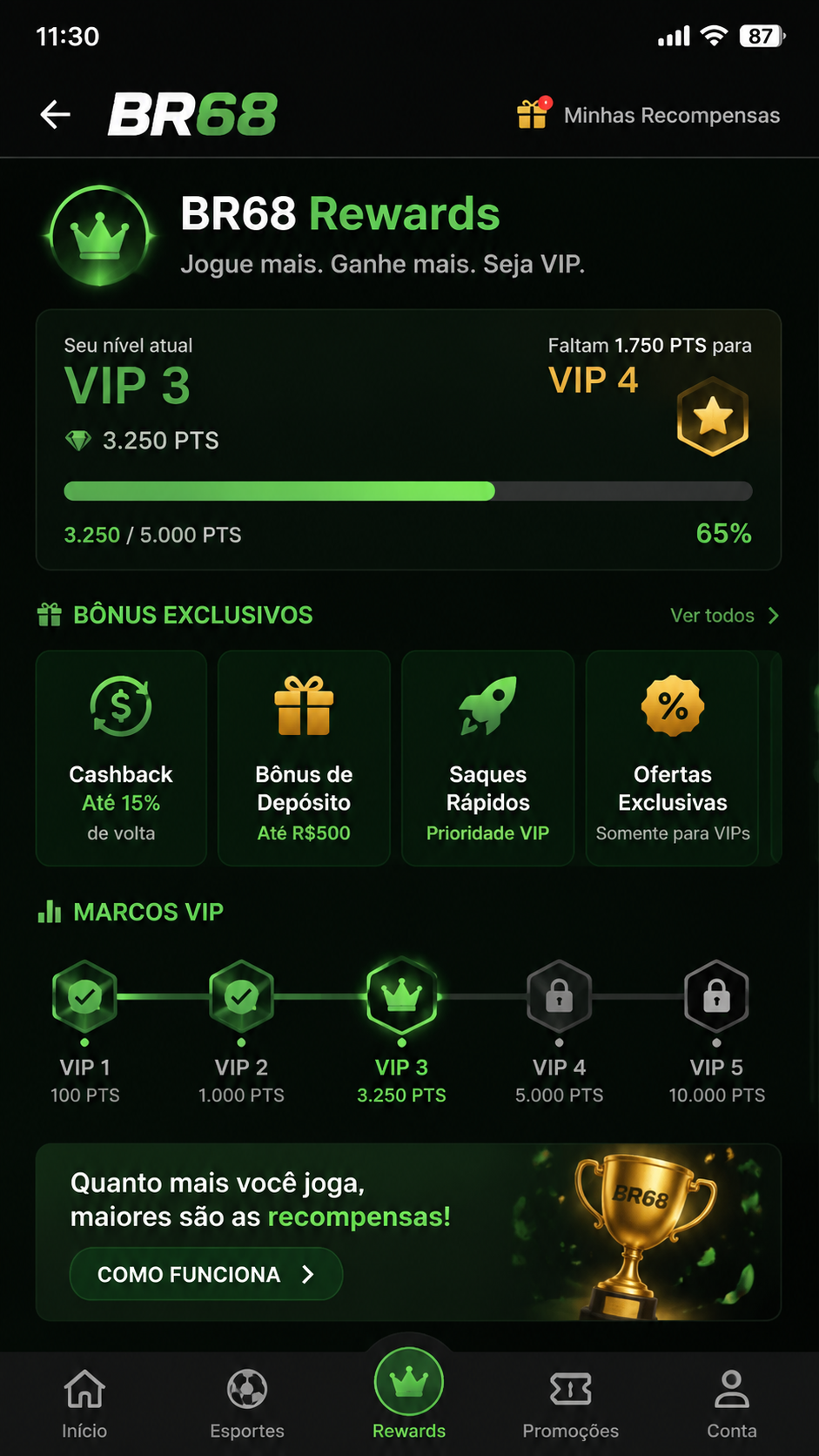 br68 screenshot