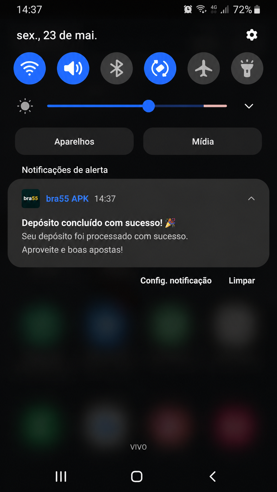 bra55 screenshot