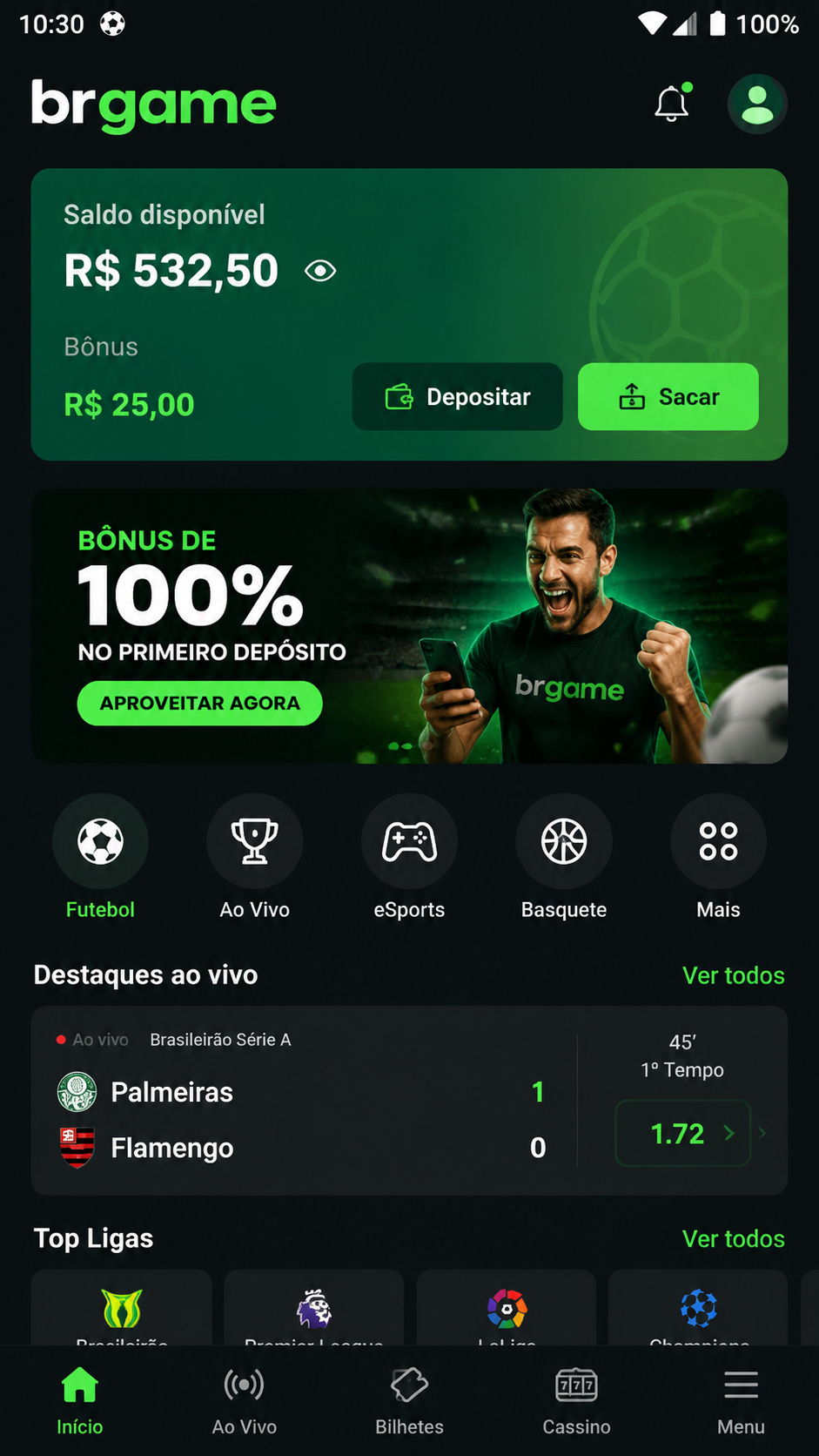 brgame screenshot
