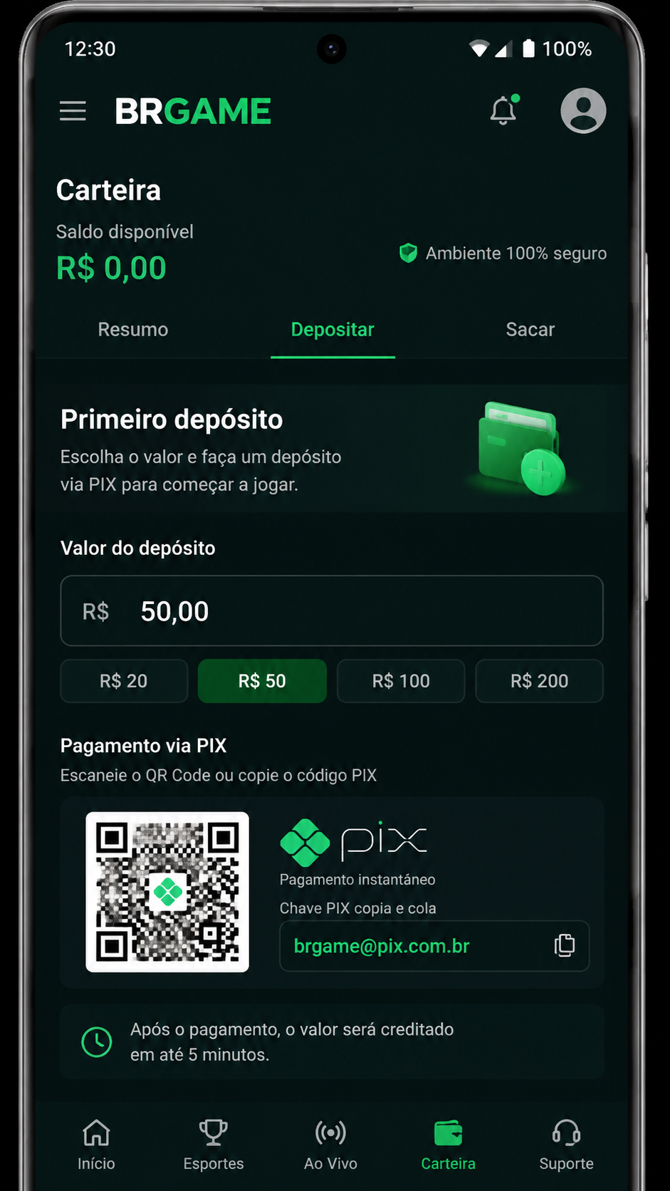 brgame screenshot