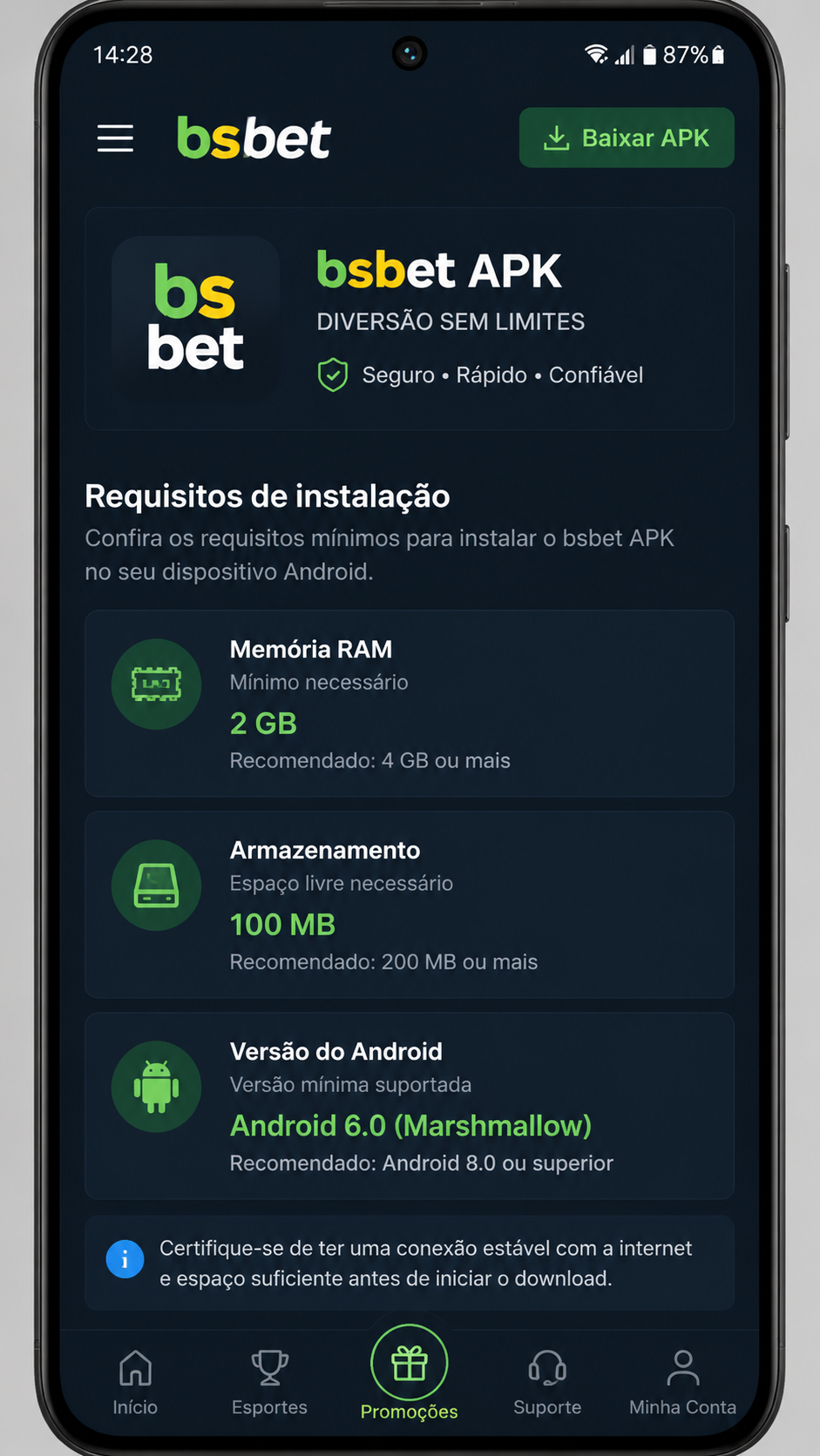 bsbet screenshot