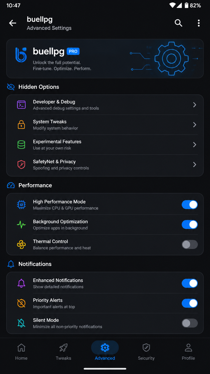 buellpg screenshot