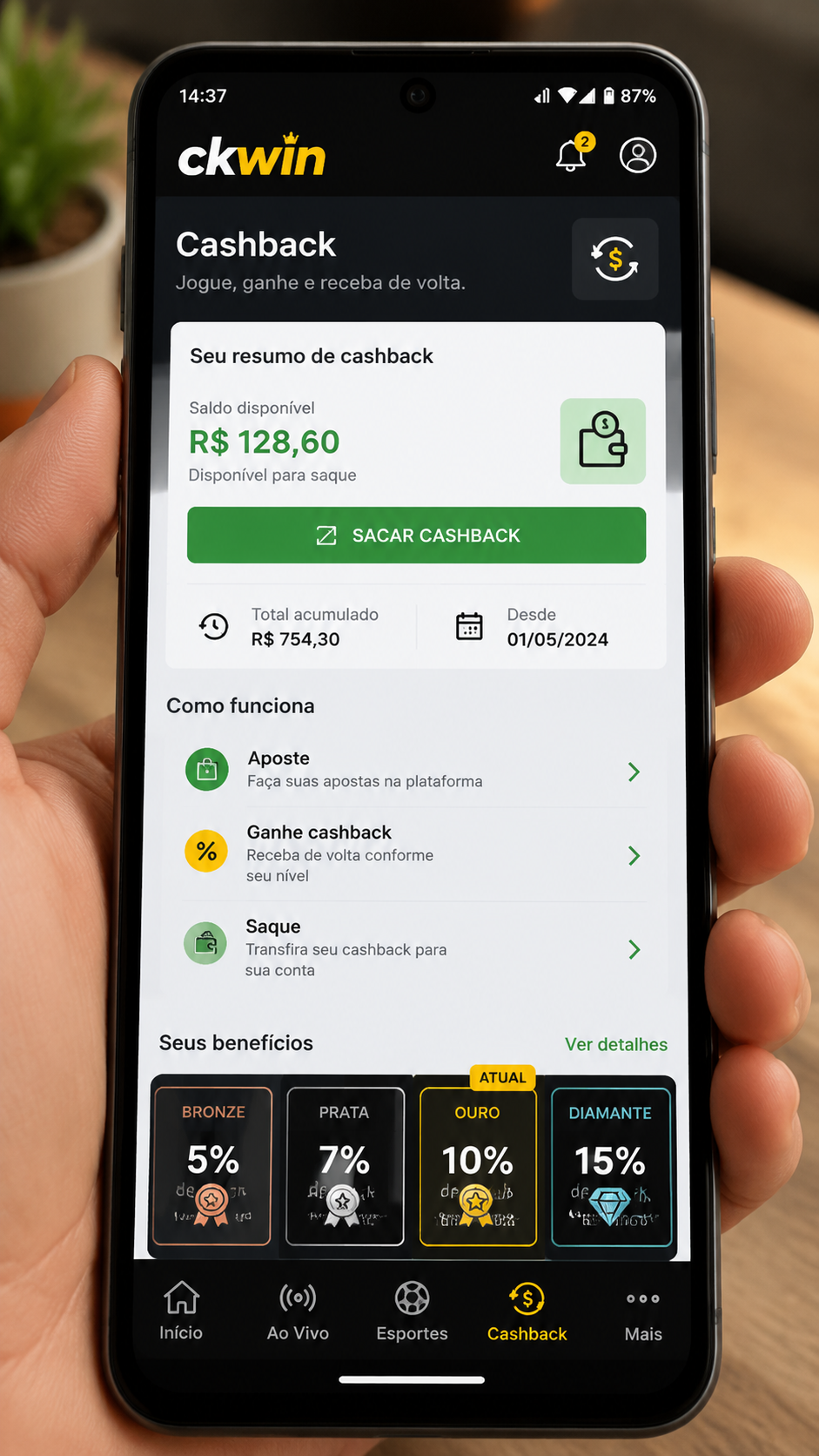 ckwin screenshot