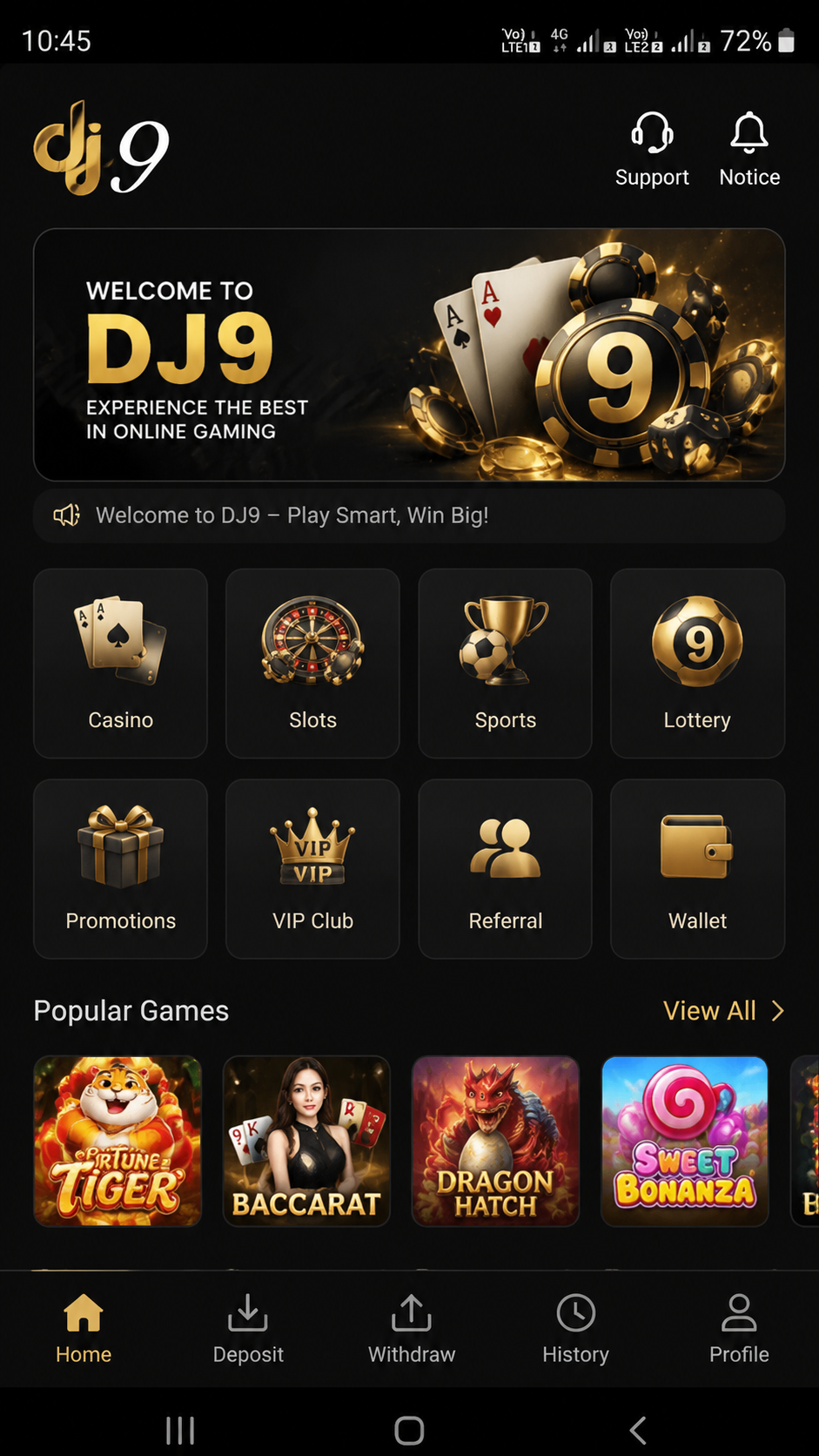 dj9 screenshot