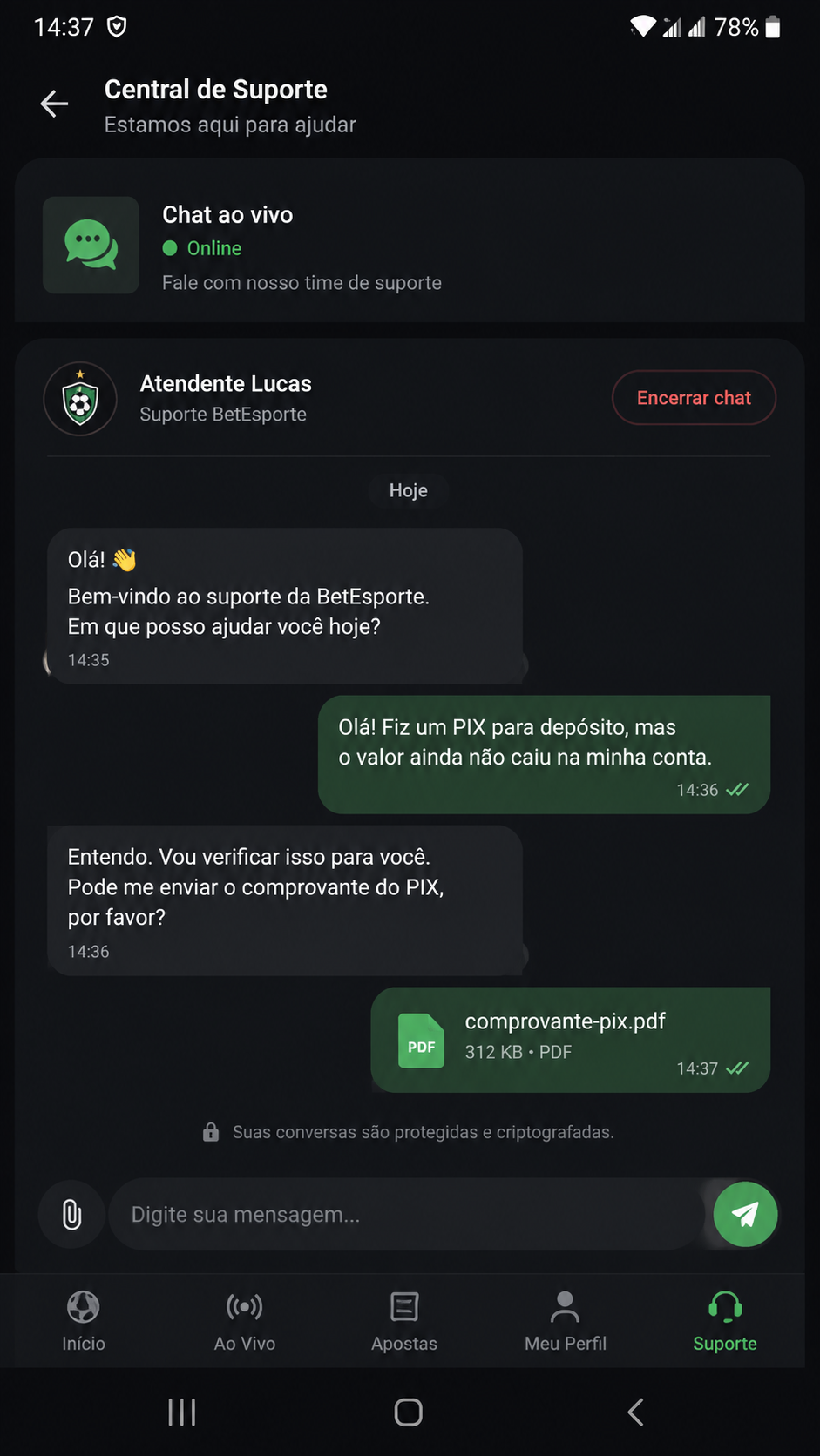 djbet screenshot