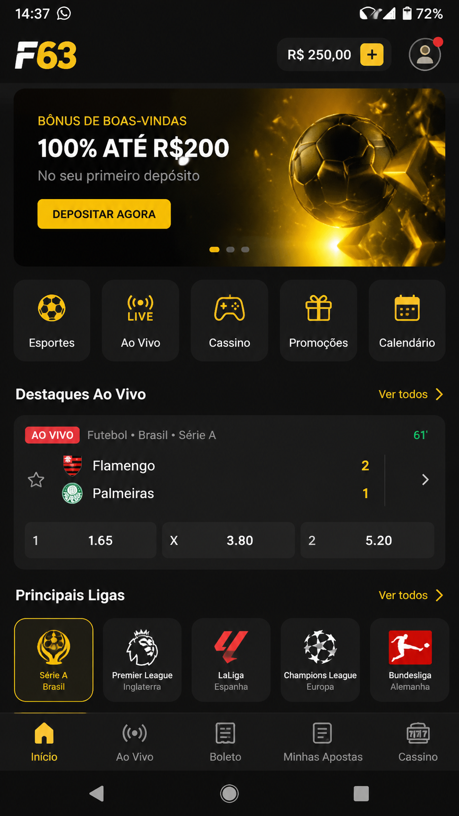 f63 screenshot