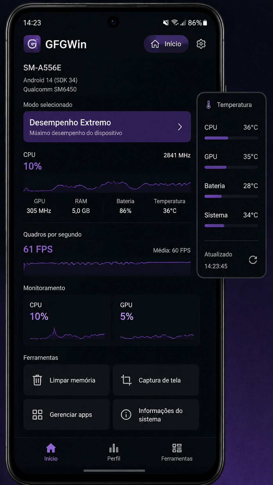 gfgwin screenshot