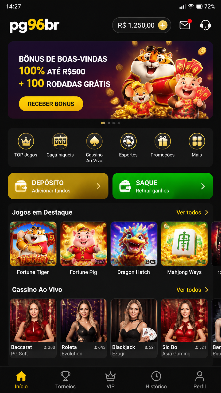 pg96br screenshot
