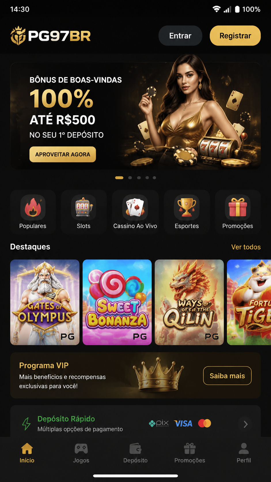 PG97BR screenshot