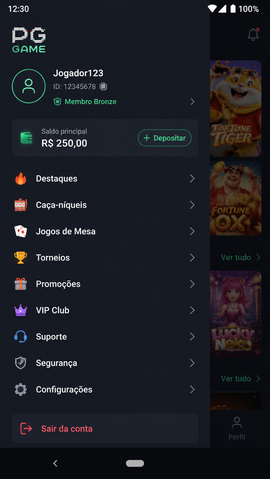 PGGame screenshot