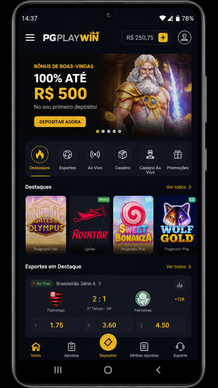 pgplaywin screenshot