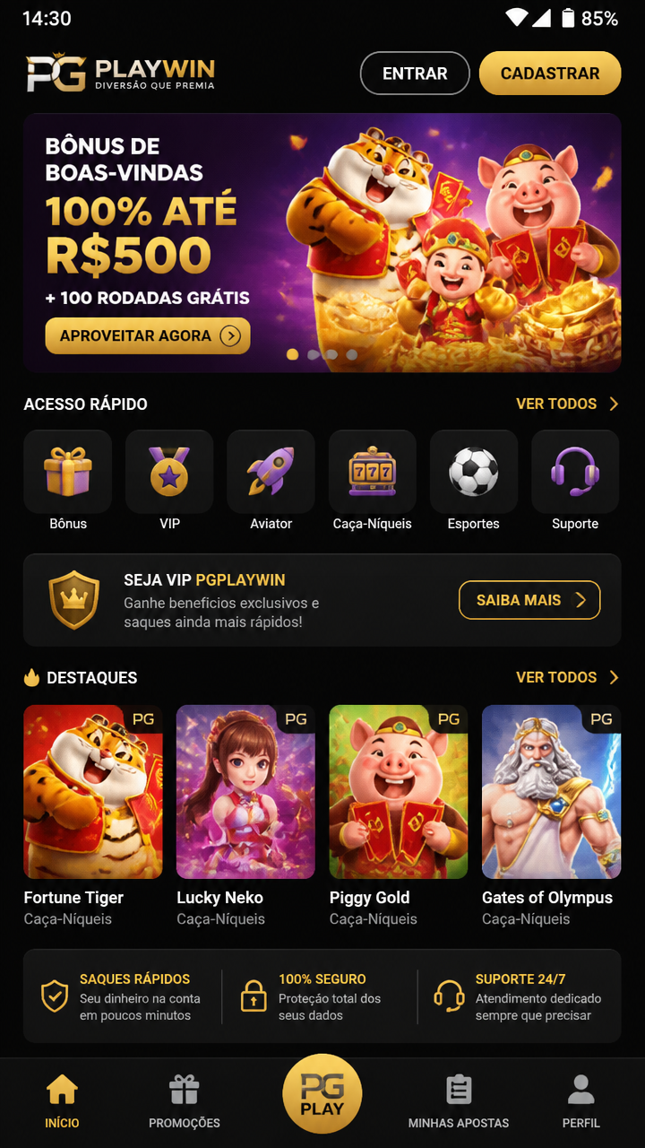 pgplaywin screenshot
