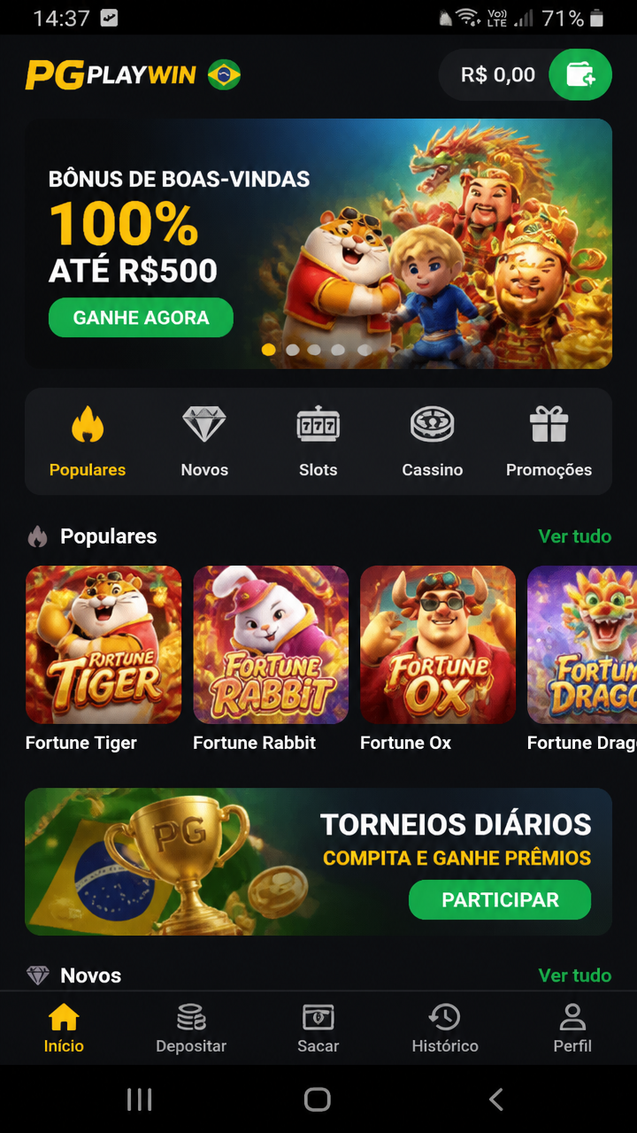 pgplaywin screenshot