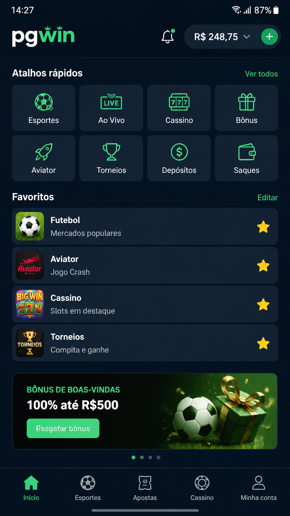 pgwin screenshot