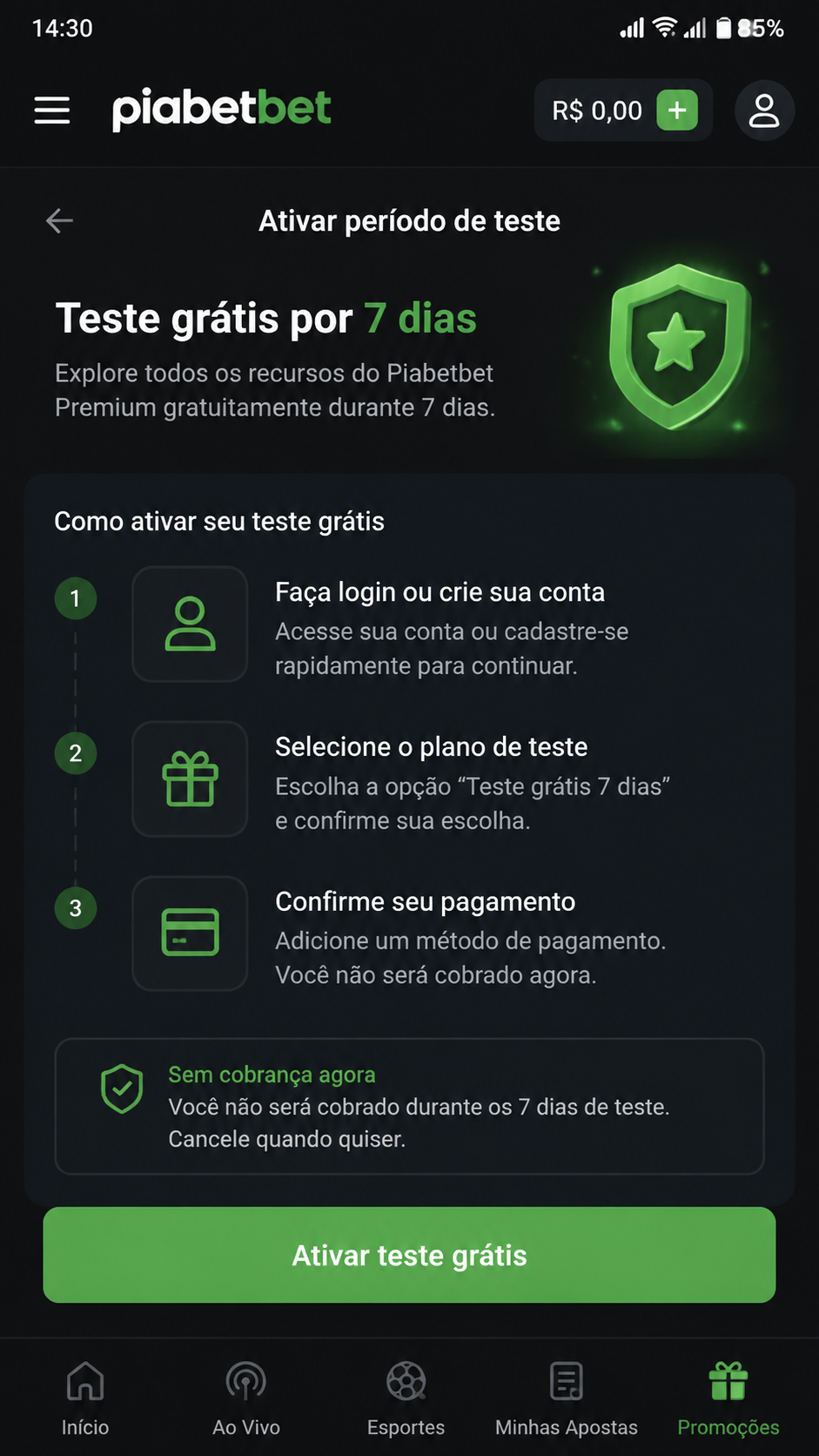 piabetbet screenshot