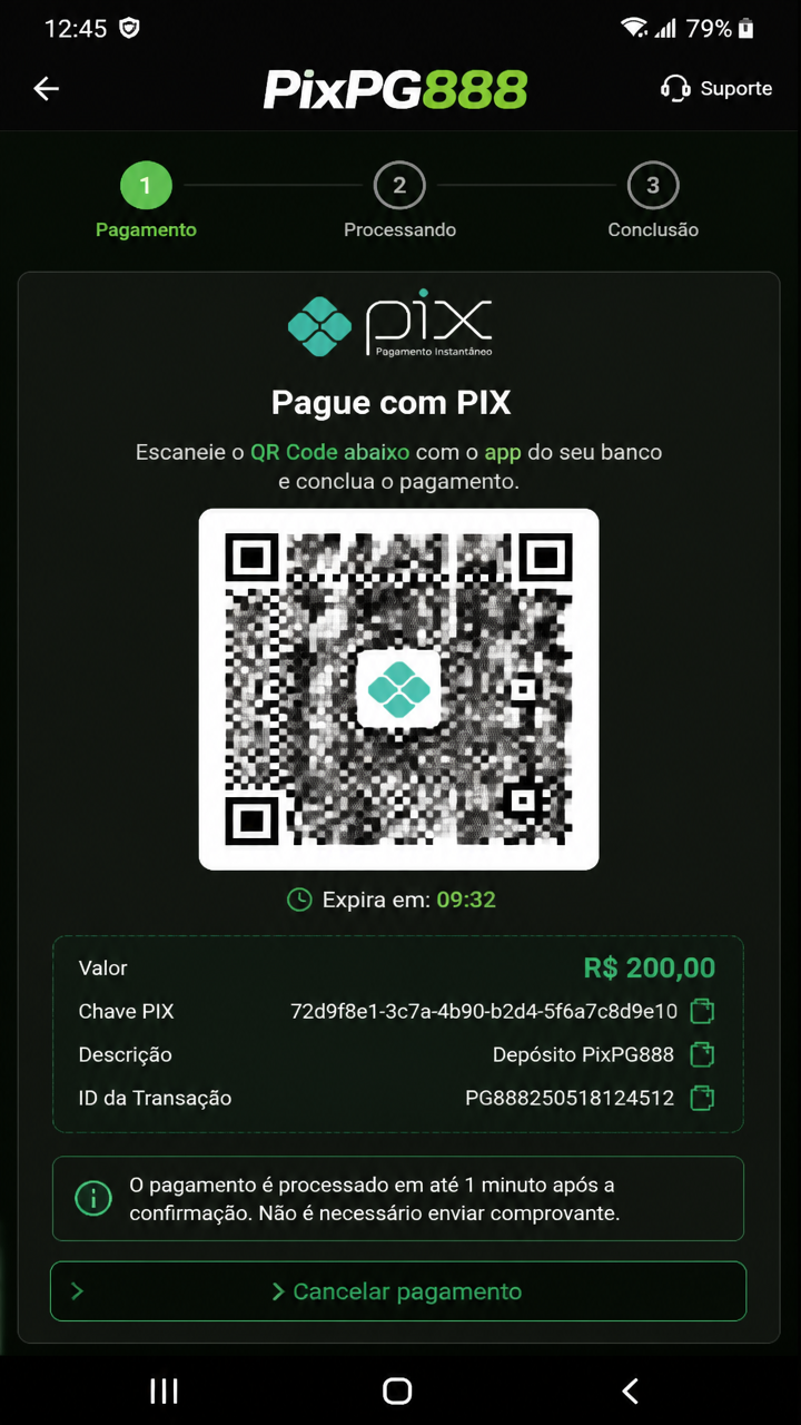 PixPG888 screenshot