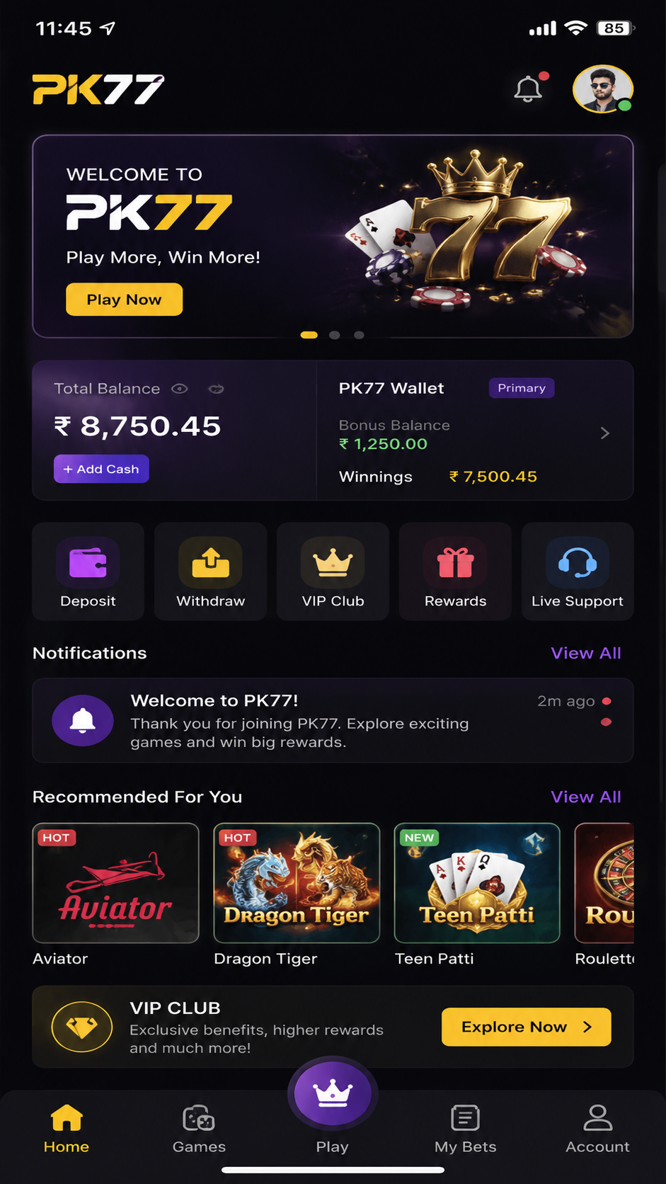 PK77 screenshot