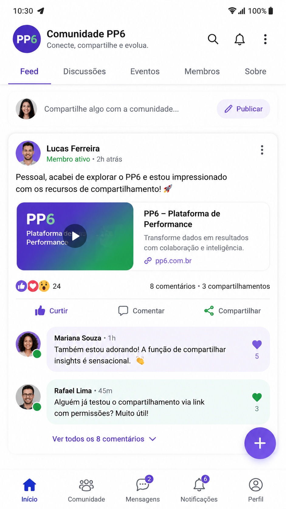 PP6 screenshot