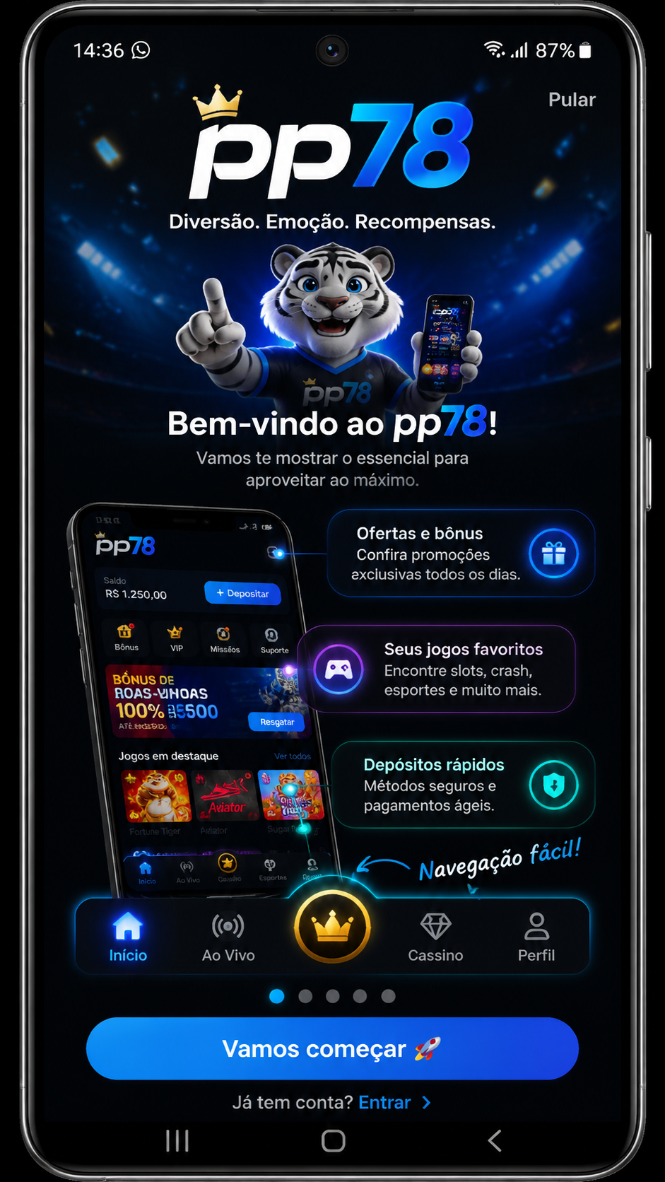 pp78 screenshot