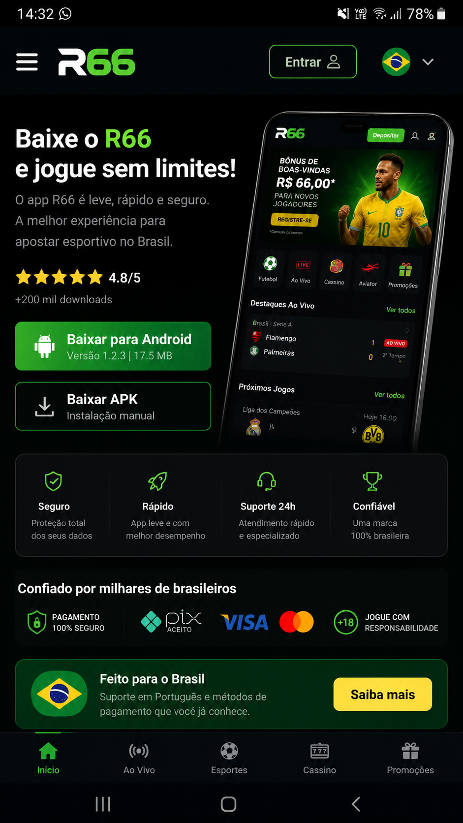 r66 screenshot