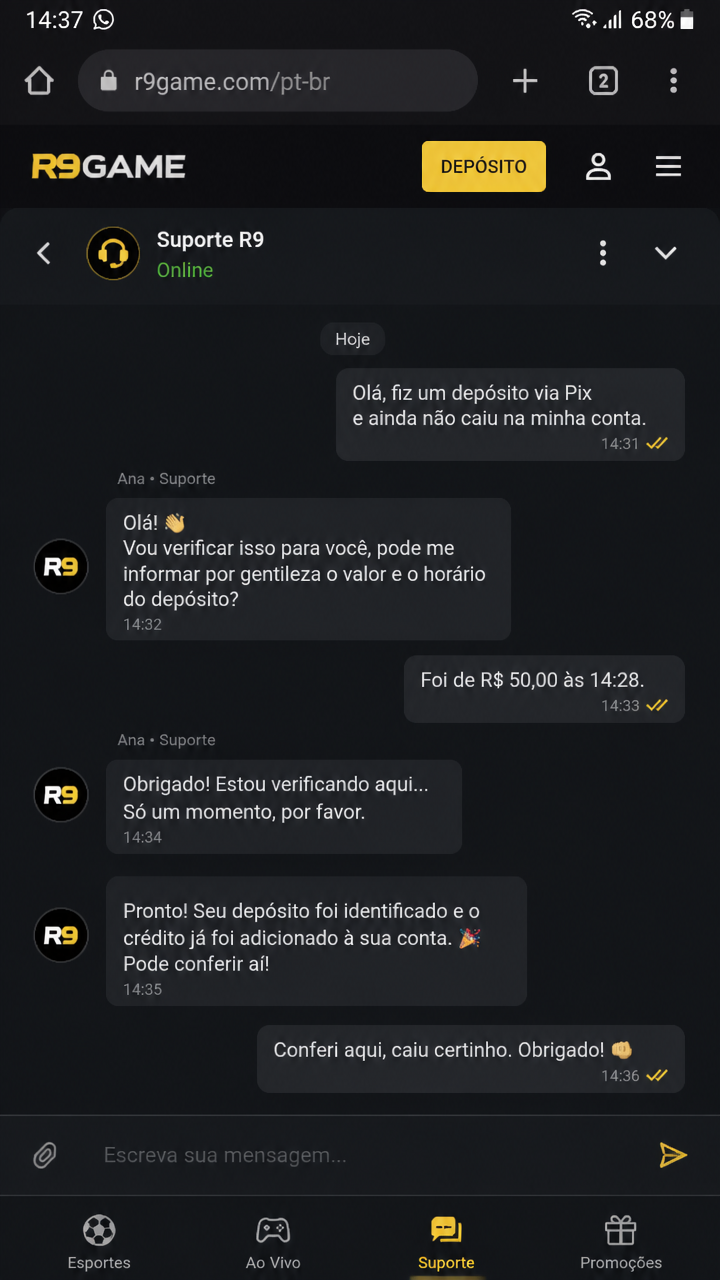 r9game screenshot