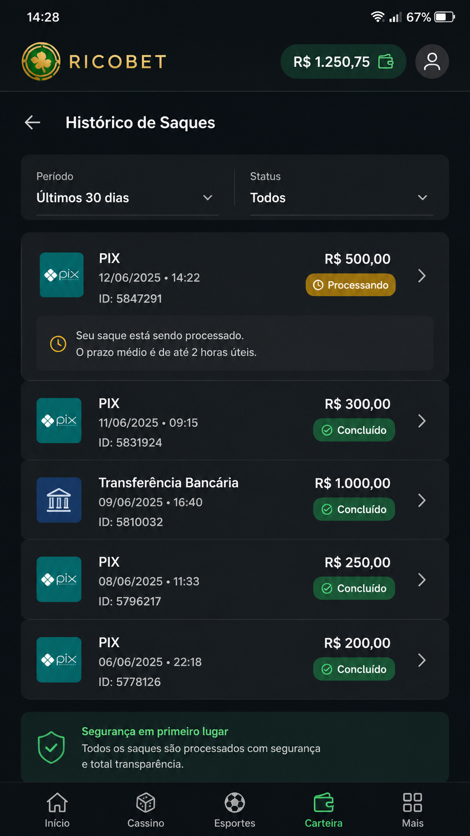 Ricobet screenshot