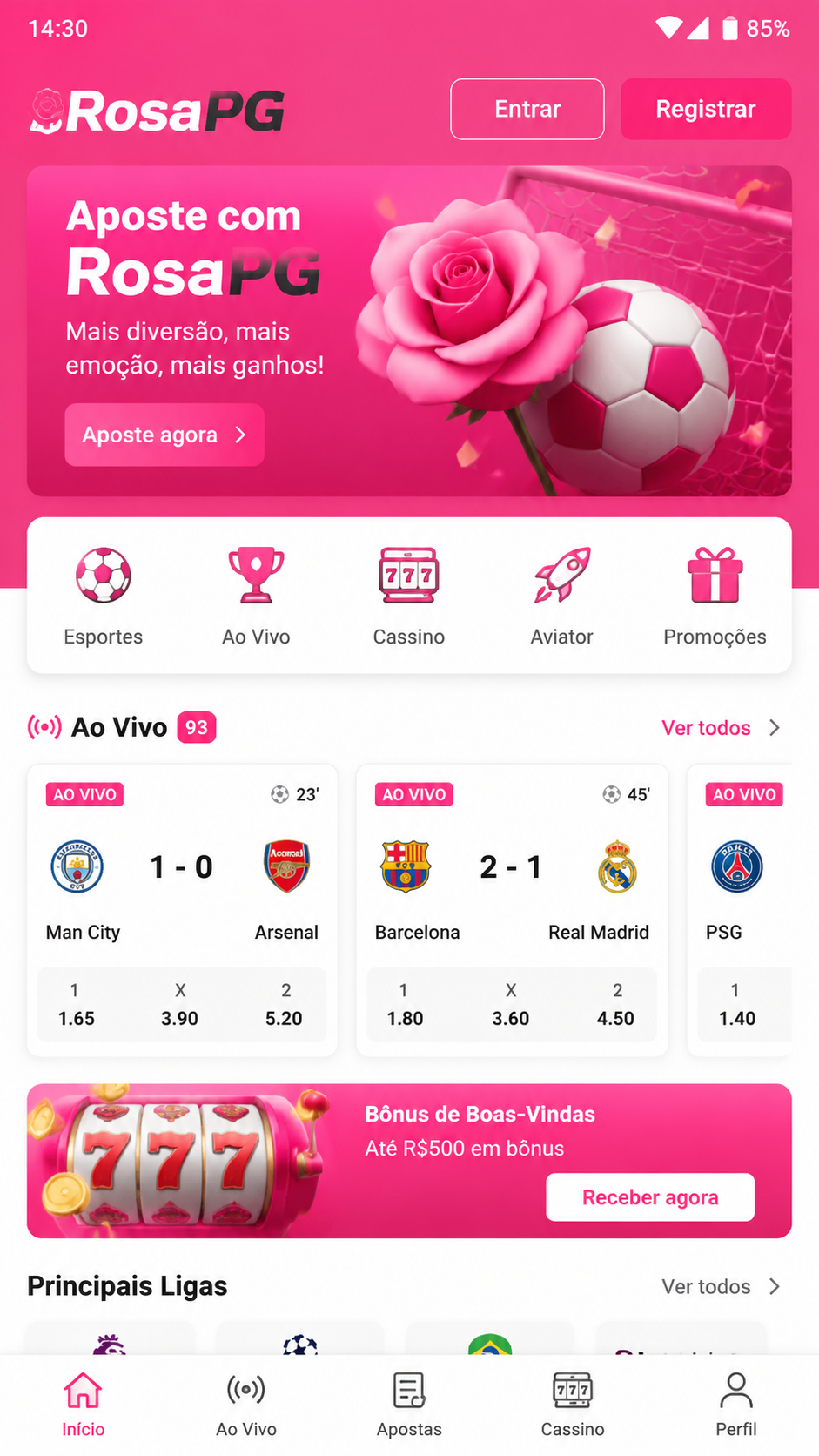 RosaPG screenshot
